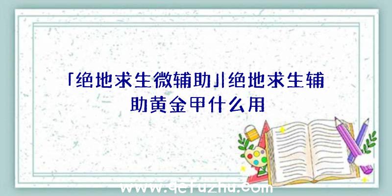 「绝地求生微辅助」|绝地求生辅助黄金甲什么用